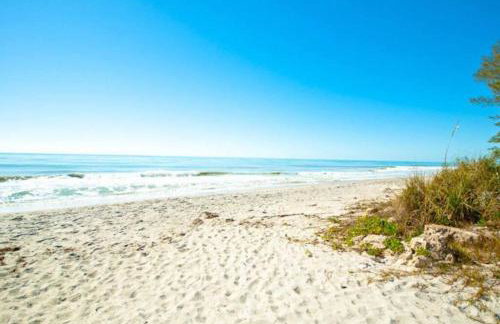 Great shape after Milton -Gorgeous Pool! - os - Photo 29