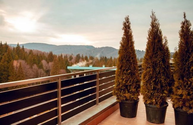 Elexus Poiana Brasov - Foto 63