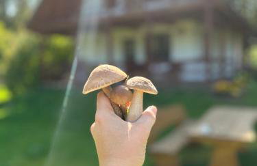 Domek nad Wkrą - Foto 56