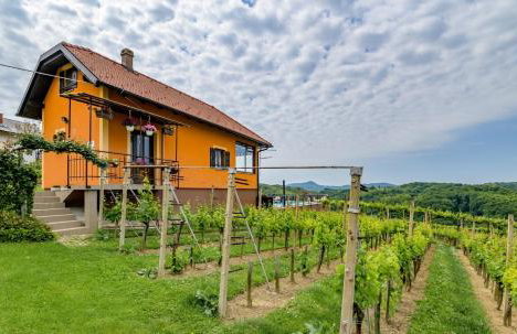 StellaLuca Resort - Foto 24