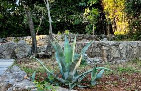 Kuća za odmor Krk - Foto 60