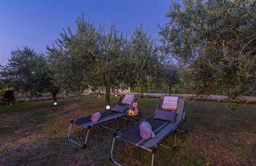 Studio Apartment Marija Franko - Blue - A3 - Foto 15