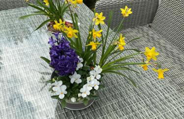 Waldtraum Wandlitzsee - Foto 45