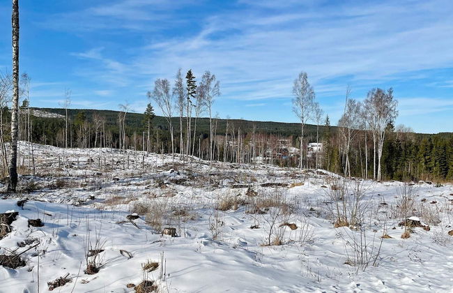 6 Person Holiday Home in Tocksfors-by Traum - Foto 31