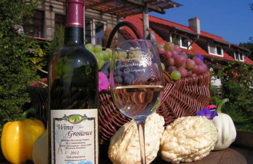 Winnica Na Leśnej Polanie - Foto 6