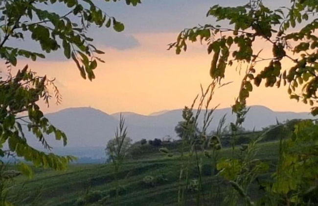 Ferienwohnung in Bischoffingen - Foto 38