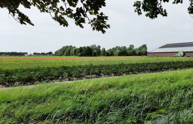 Stylish Holiday Home by the sea - Foto 37