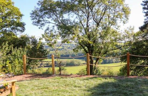 Little Silver Fox - Foto 20