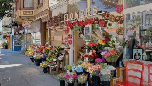 Lovely Noe Valley Condo w Light, View & Parking! - Foto 4