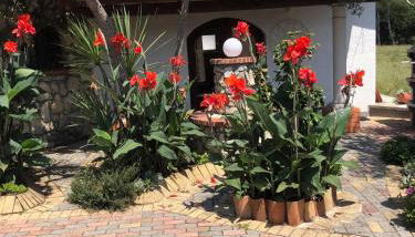 Quinta Forum - Foto 3, Garden view