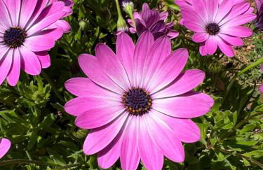 RusticHome - Foto 14