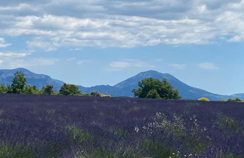 La Salamandre de l Olivier - le Mimosa - Foto 35