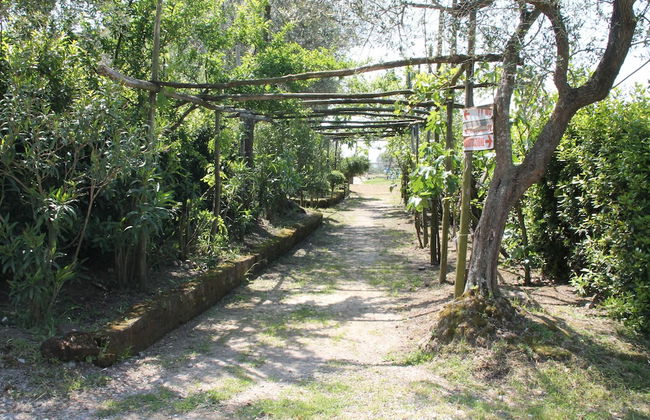 Agriturismo Piccolo Paradiso - Foto 65