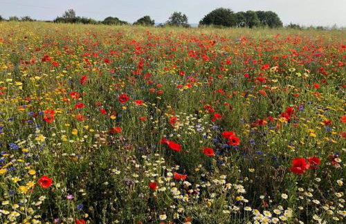 1 Bed in Umberleigh oc-55321 - Foto 26