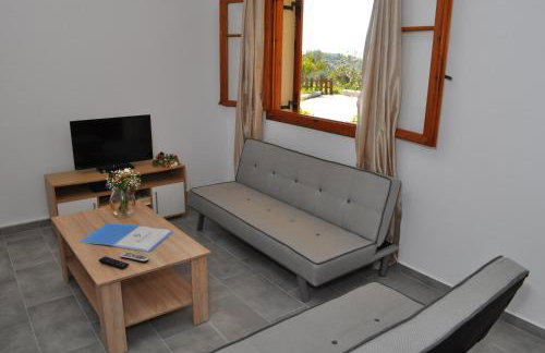 Polymnia Apartments Lassi - Photo 29