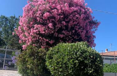 Villa bella Diamante - Foto 12