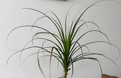 Sensacional Studio Cinelândia 1310 - Foto 20