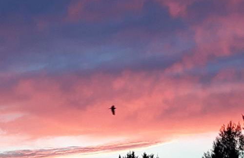 Sellerich Forest Hideaway - Foto 75