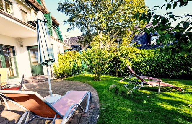 Strandflieder - Foto 23