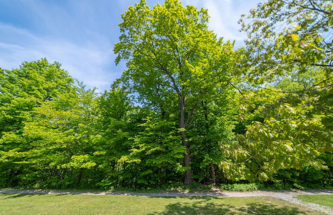 Horseshoe Valley Suites - The Evergreen - Foto 28