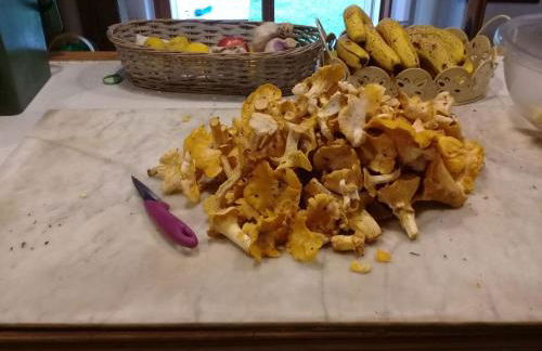 Holiday Home Haus freistehend Sonne Bett 160cm Patio billig by Interhome - Foto 41