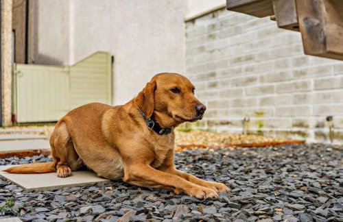 2 Bed in Millom oc-93608 - Photo 23