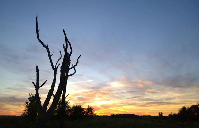 Ferienhof Neuendorfkrug, Lutow - Foto 15