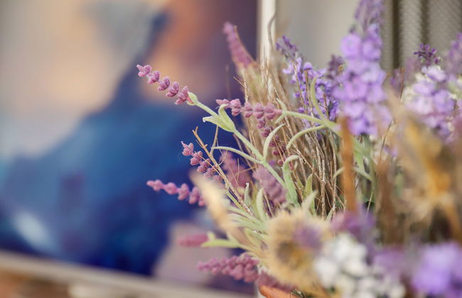 Chesa Prasüra 10 - Foto 3