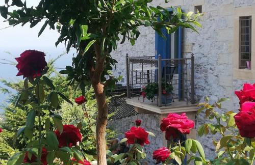 Stone house 1883 Kymi with pool - Photo 16