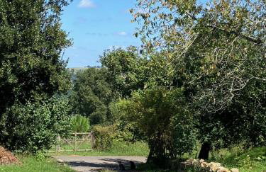 Haixpia, Le Gîte - Foto 25