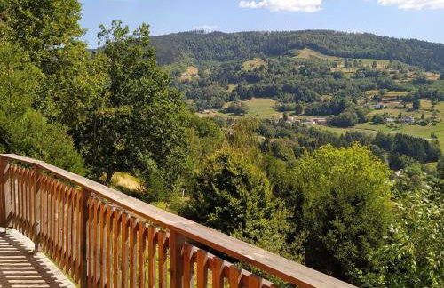 Chalet 3 étoiles avec sauna près de La Bresse - FR-1-589-18 - Foto 8