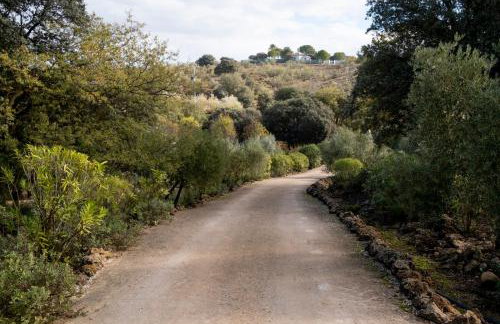 Casa de Campo La Mejorana Refugio entre olivos sin renunciar al confort - Foto 56