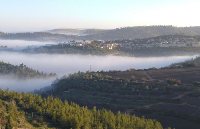 Shoresh Green Hills Family Suites Hotel - Foto 35