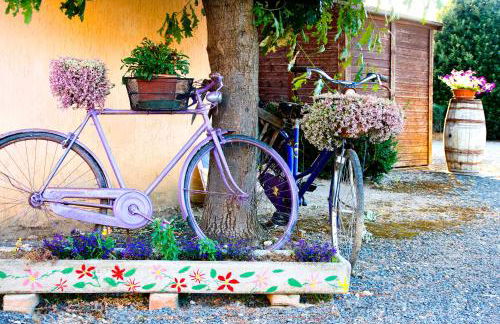 Agriturismo Al Vermigliano - Foto 44