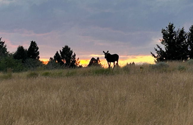 Grassy Mountain Ranch - Foto 16