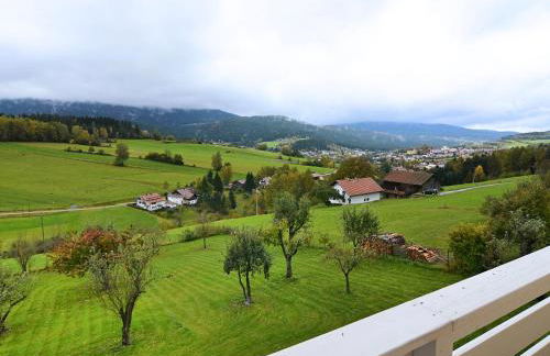 Villa in Bayern nahe Skiloipen & Sauna - Photo 68