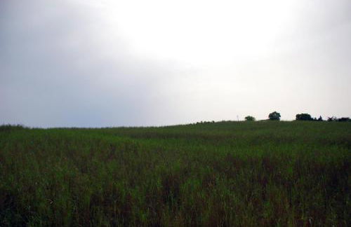 Villa Cipollazzo - Foto 39