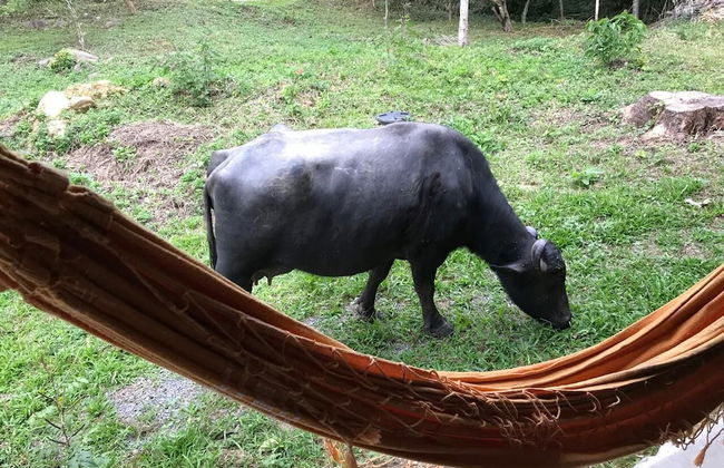 Vila Dravida - Foto 8