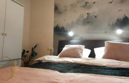 Chwilo Trwaj dom z jacuzzi, sauną i kominkiem z widokiem na góry Korbielów Pilsko - Foto 41