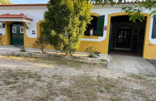 QR Casas de Campo - Foto 62