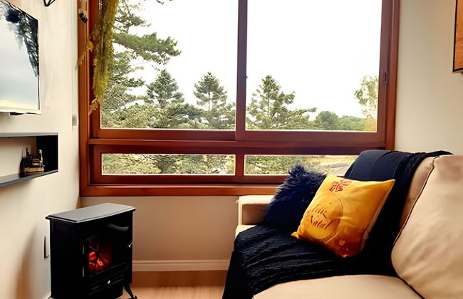 Siga Gramado - Centro e Lago Negro a pé - Photo 22