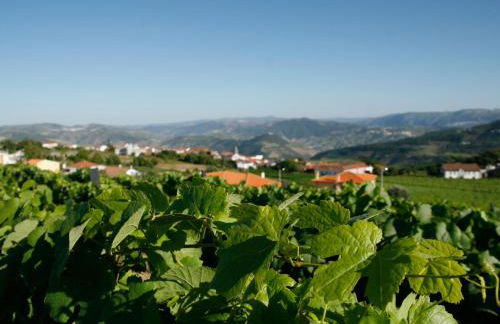 Quinta Manhas Douro - Photo 36