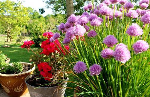 The Cottage - Foto 14