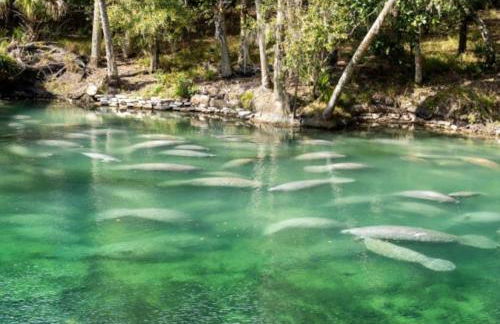 Sea Swept Ocean Front Studio - Foto 17