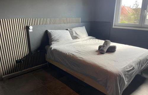 Colmar Appartement terrasse 10min centre ville - Foto 7