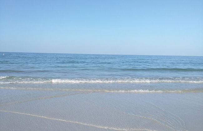 The Inn On Siesta Key - Foto 79