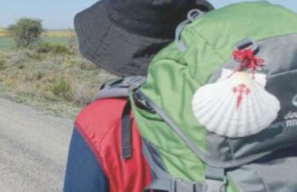 Paraíso del Bierzo - Foto 10