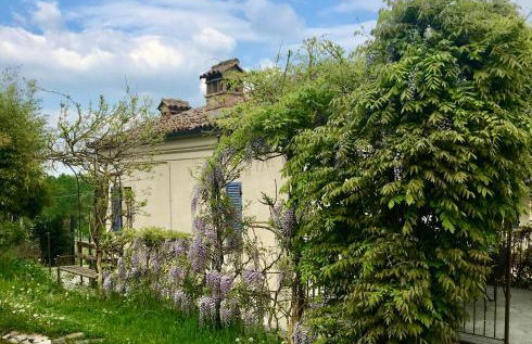 Agriturismo Marcarini - Foto 76