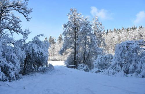 Schillerstüble - Foto 24