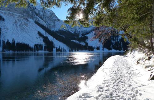 Ferienwohnung Allgäuer Bergwelt - Photo 33